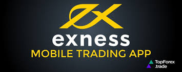 Exploring the World of Trading with Exness Global 0 Exploring the World of Trading with Exness Global 0